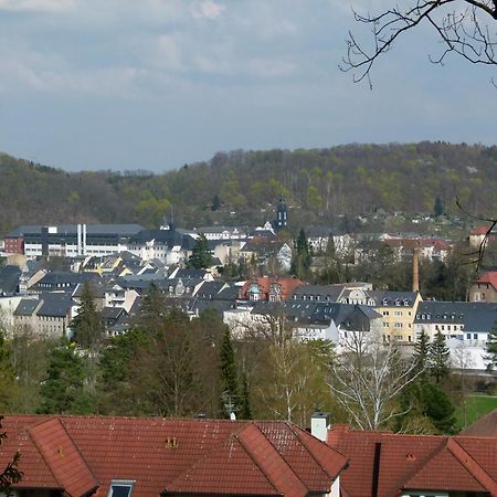 Urlaub Und Arbeit In Waldheim公寓 外观 照片